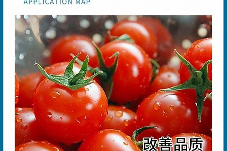 花卉常见的生理性病害有哪些？如何防治？