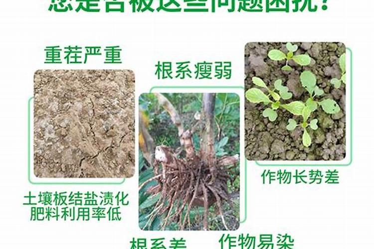 果树为什么不能用含氯的化肥