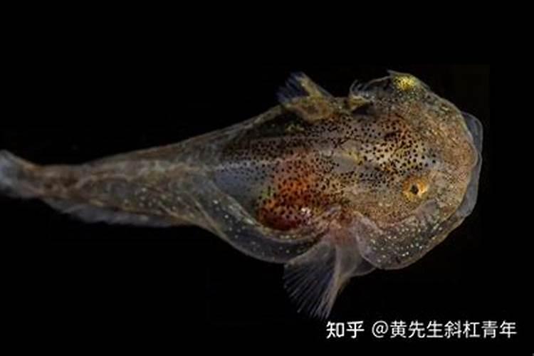 上班族夏季如何调理自己的身体？