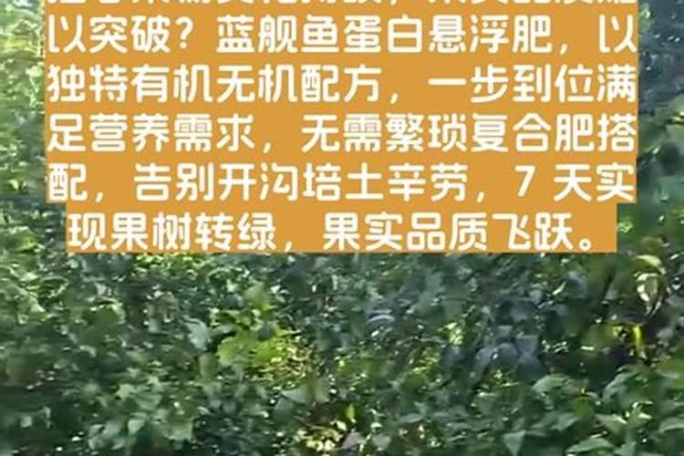 鱼蛋白的做法都有什么呢？