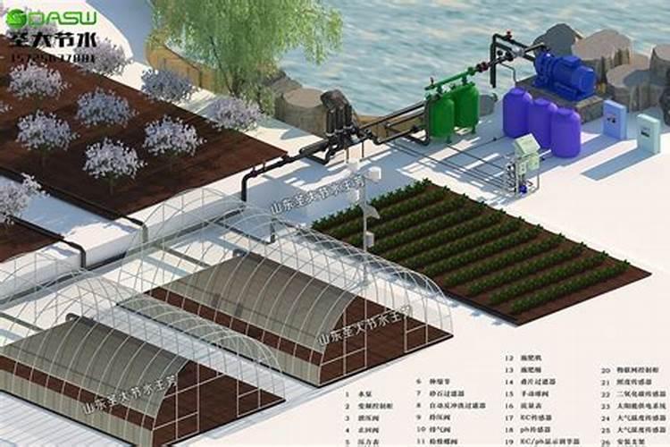 叶面肥什么时候打效果好