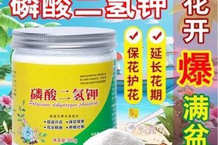 辣椒开花期一亩地滴两公斤左右高钾肥合适吗