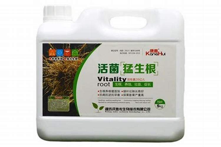 玉米专用叶面肥什么牌子好