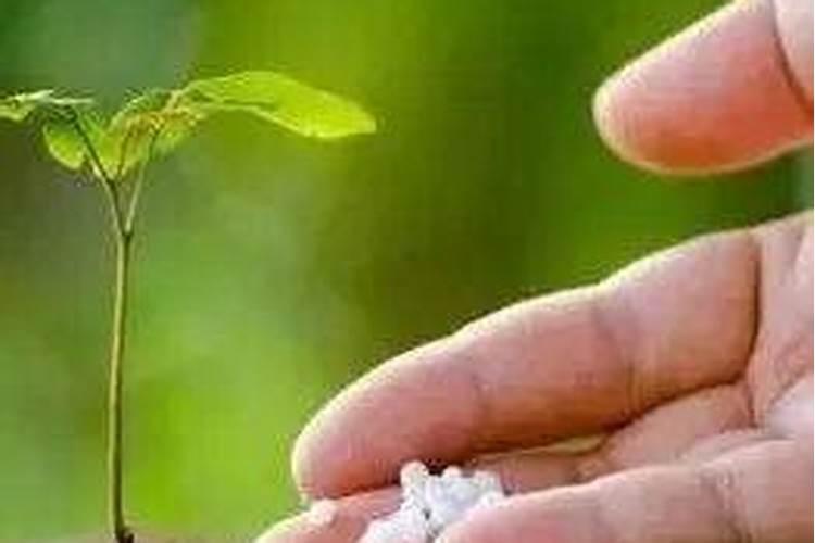 中国产盐地及盐业股票有哪些？