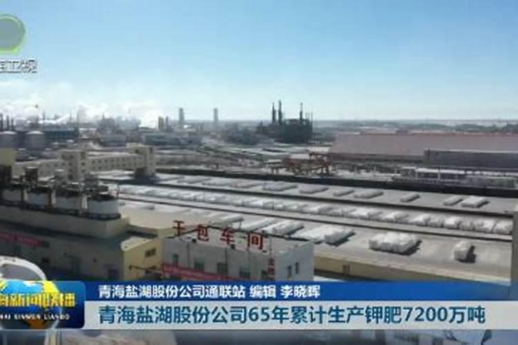 中国最大的氯化钾生产公司