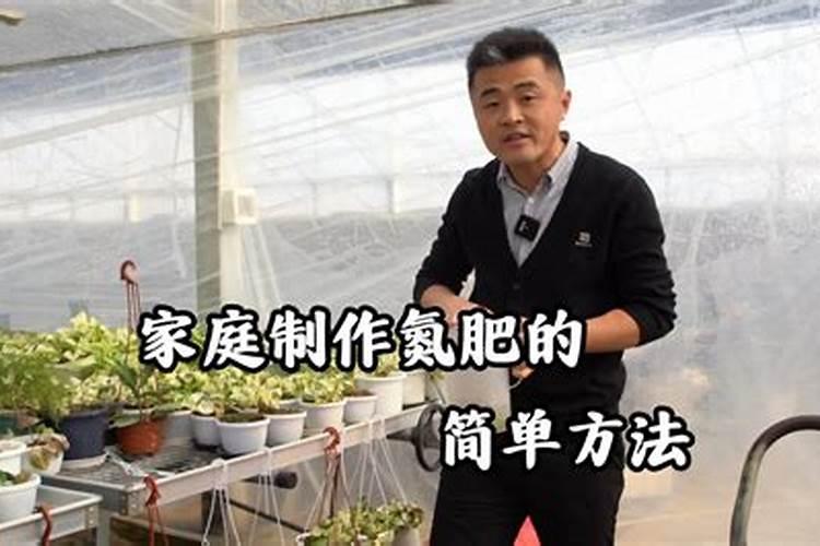 韭菜如何施肥浇水