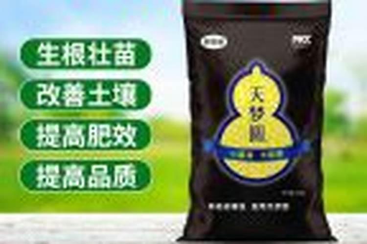 夏黑葡萄用什么膨大剂 附膨大期施肥诀窍