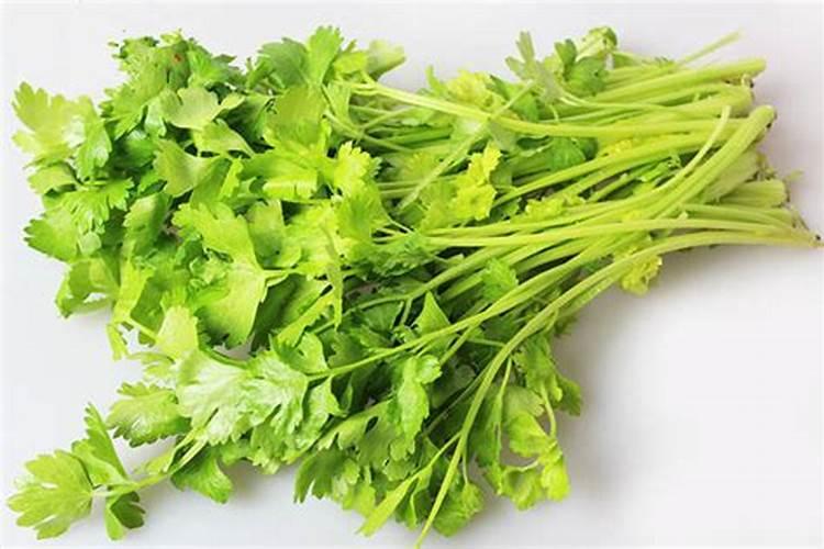 打什么药让黄皮树开花