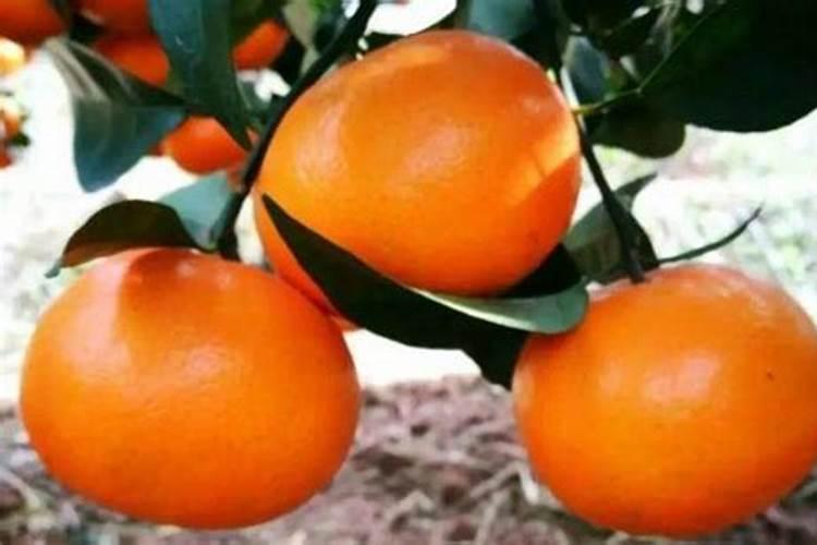 杀虫剂/杀菌剂能与赤霉素混用吗？