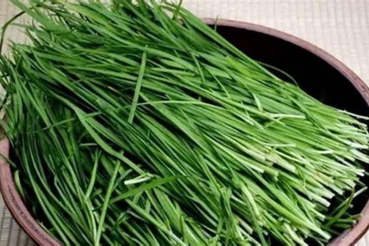 高手打药的2大技巧,养护管理人员必学习