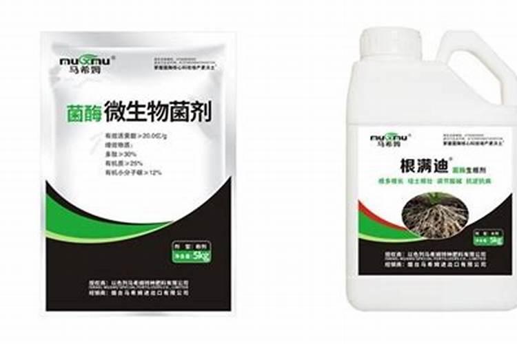 海棠花施什么肥最好