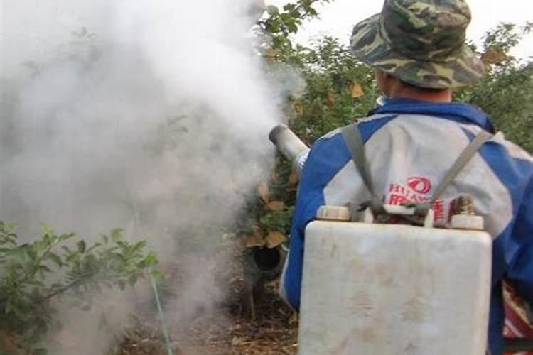 怎么知道叶面肥的真假呢