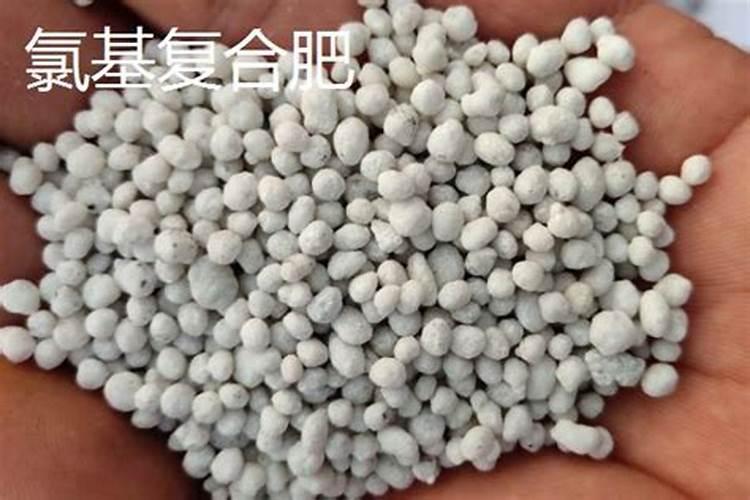 复合肥氯基和硫基的区别