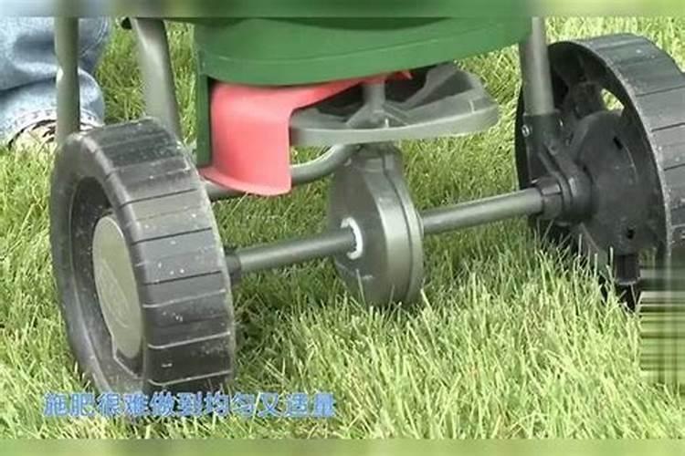 我的心爱之物优秀作文