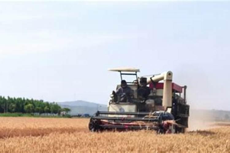 腐植酸肥都有什么牌子,那个牌子的好