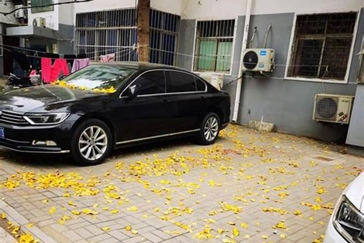 湖南杨梅之乡是哪里 湖南杨梅产地哪里最有名