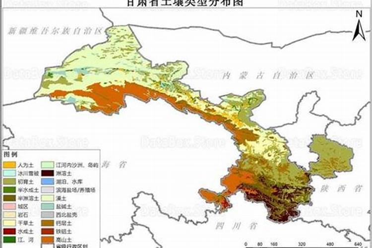 钓草鱼和鲤鱼用蓝莓可以钓吗
