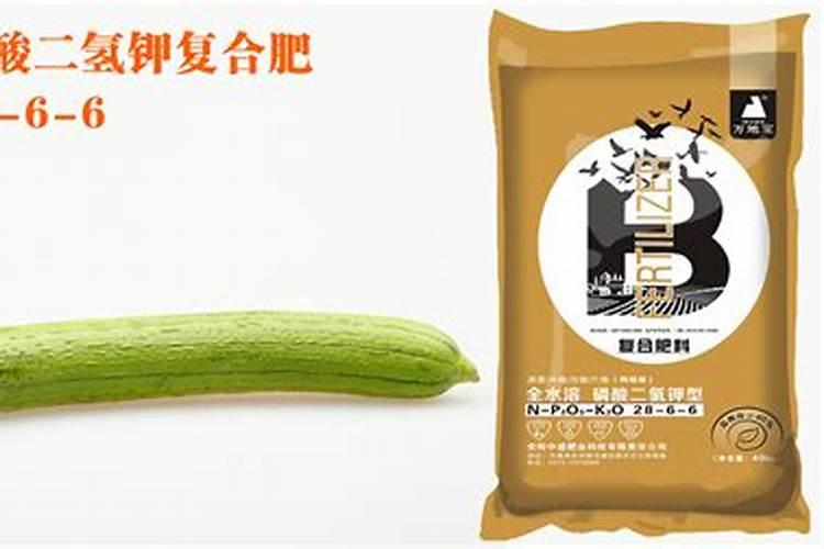 丝瓜适合用什么肥料？