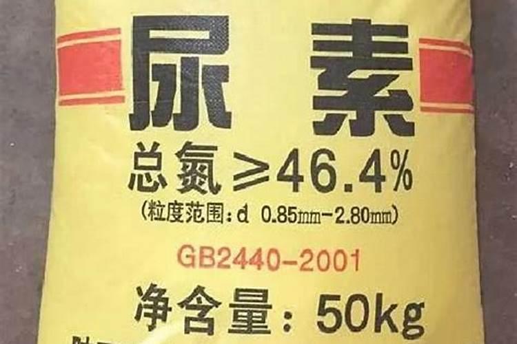 花草什么时候施肥最好 花草施肥时间