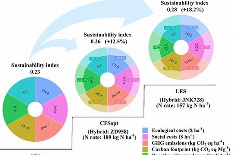 广西桉树肥十大排名