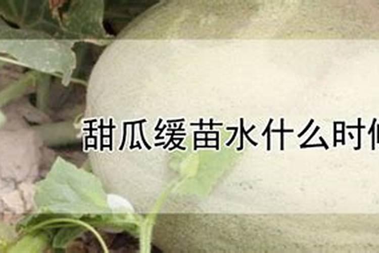 甜瓜底肥施什么肥好