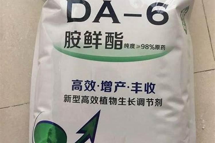 种的白菜不包心怎么办