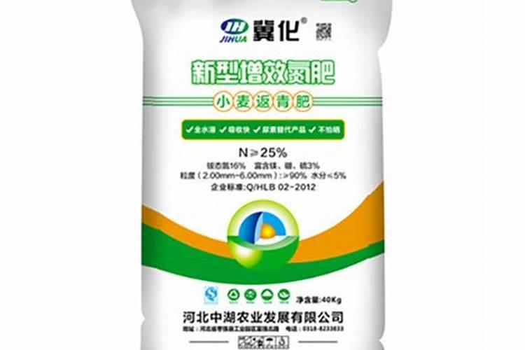 金边吊兰用什么肥料较好