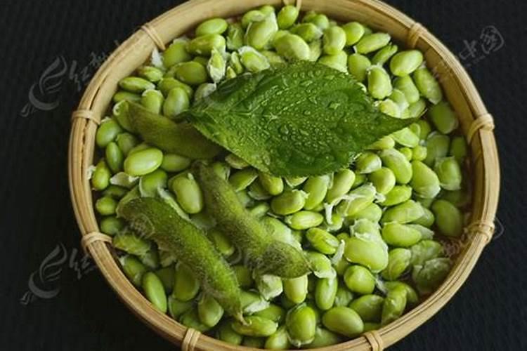 投资一个有机肥厂有没有前景