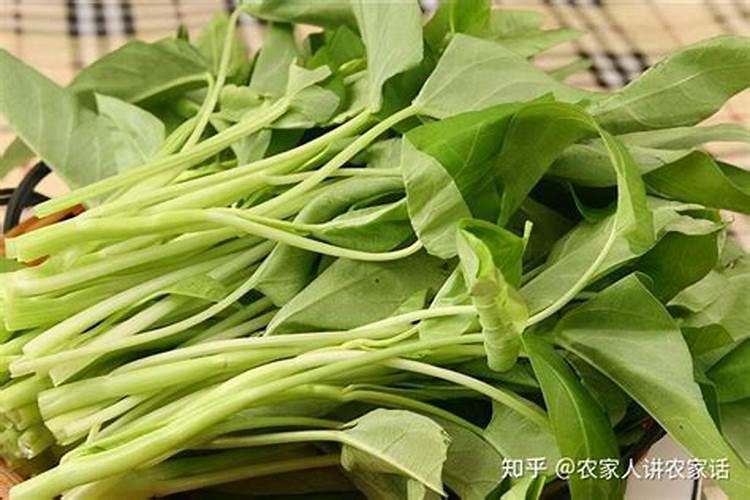 秋天有什么成熟的庄稼