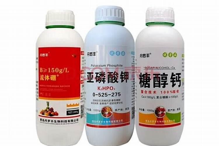 硼肥在什么时候喷施好(硼肥施肥要在雨天还是晴天)