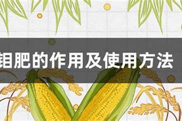 施用微量元素水溶肥起到什么作用？