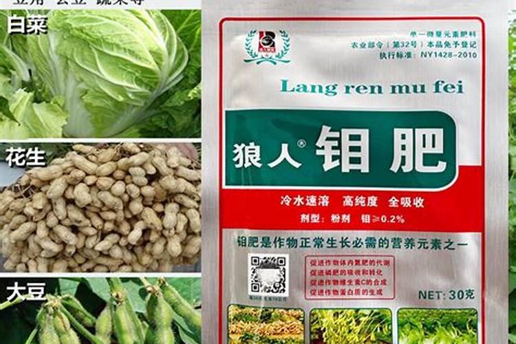 大量元水溶肥和中量元素、微量元素水溶肥的区别？