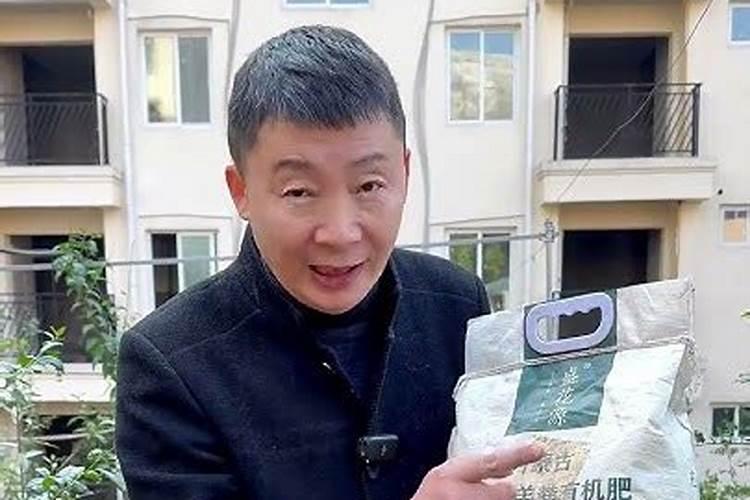 黄瓜栽植前上黄豆好不好底肥？