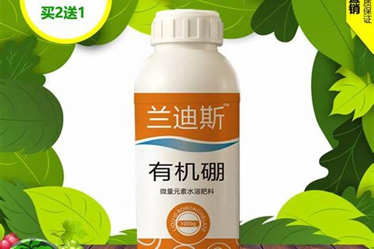 花生喷施硼肥的最佳时间
