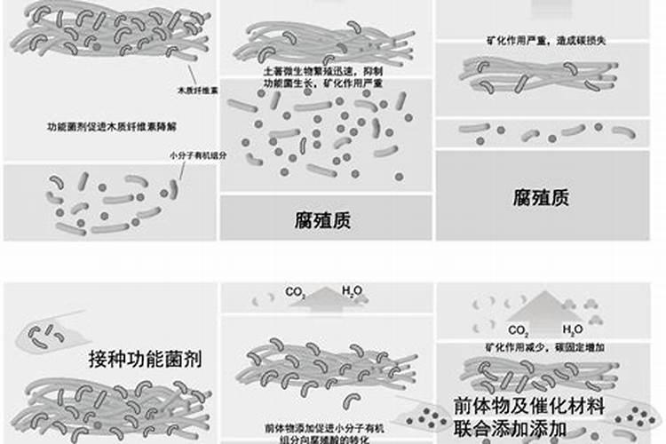 腐殖酸类肥料属于有机肥吗？怎么使用？有哪些注意事项？