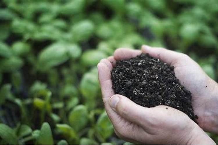 氮磷钾无机盐的作用