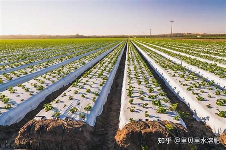 黄腐酸钾和腐殖酸钾有什么区别？