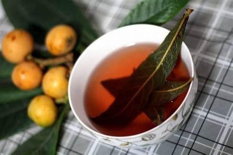 枇杷原产中国东南部,因叶片形状似琵琶乐器而名,枇杷苗栽培技术你知道吗...