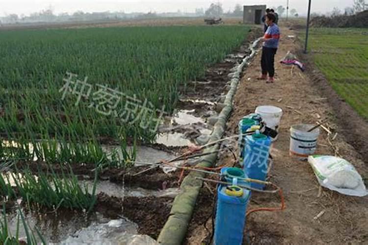 氰氨化钙是什么物质？？