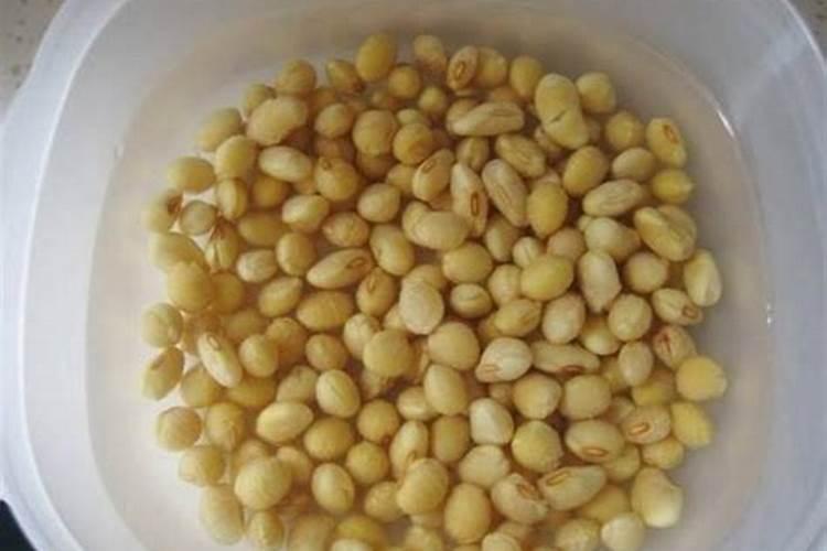 黄豆发酵后是磷钾肥吗