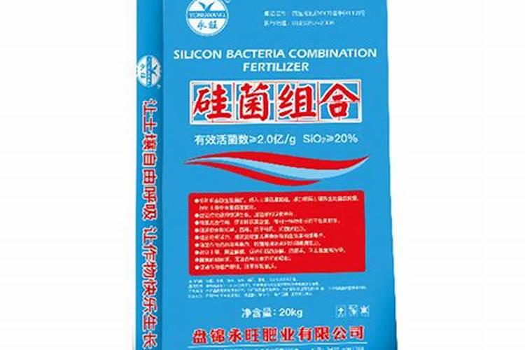 金桔开花期怎么管理