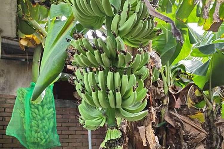 肠胃电解质紊乱有什么表现