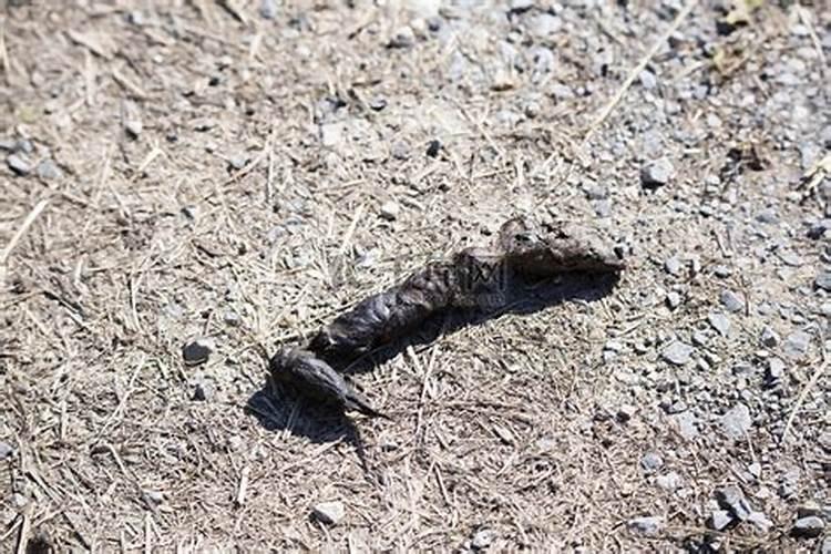 辛硫磷与敌百虫可与液肥一起喷施吗