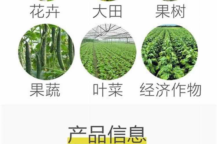 花生种了后多久才发芽