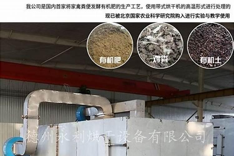 用鹌鹑粪发酵成饲料的比例是多少