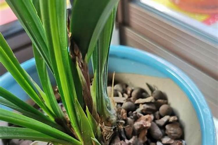 一亩玉米产多少秸秆