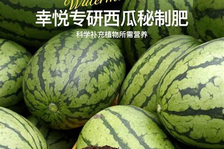 海藻精对植物的作用