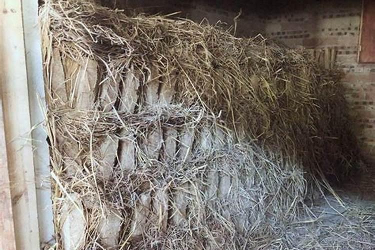 如何让杂草快速腐烂成有机肥 怎么快速让杂草变肥料