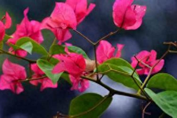 北京雷力海洋生物新产业股份有限公司怎么样？