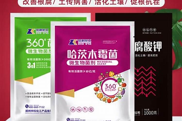 茉莉花花期可以喷洒叶面肥和防止虫害的药吗